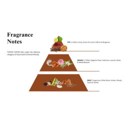 Odyssey Toffee Coffee Gourmand Edition