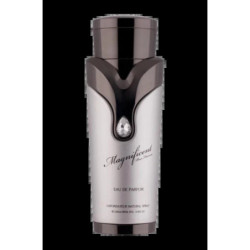 Magnificent Pour Homme